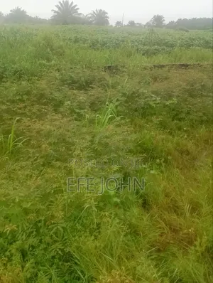 Land Very Good Location