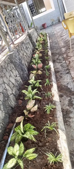 Landscape and Horticulture