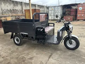 New Motorcycle 2025 Gray