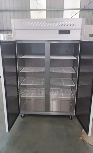 Industrial 2 Doors Stainless Freezer