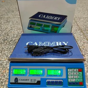 40kg Digital Pricing Scale