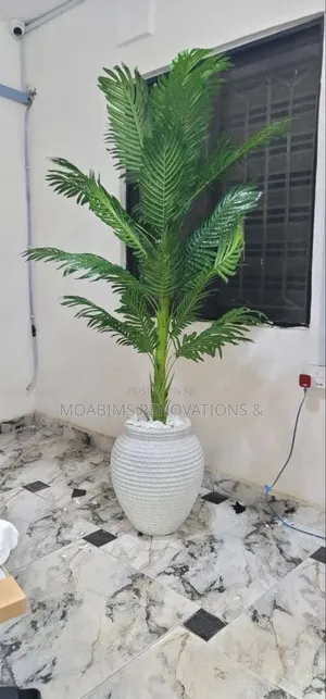 Artificial Palm ,Pot White Stones