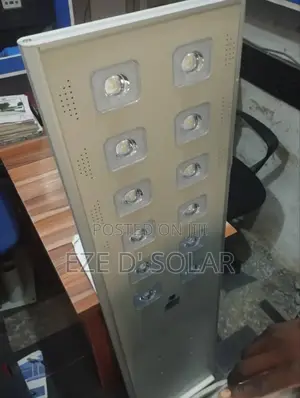 100w Wakatek Solar Street Light