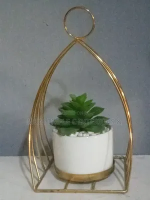 Golden Cup Flower Strictly Wholesale Price