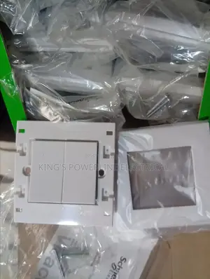 Original Schneider 2gang Switch