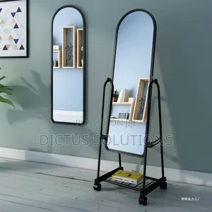 Elegant Standing Full Body Size Mirror With Wheels a Rack
