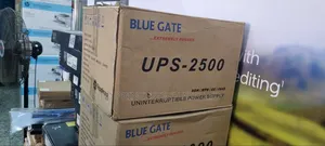 Bluegate 2.5kva Ups Bg2500