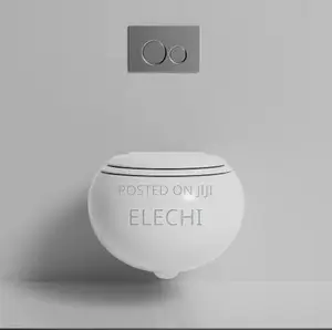 Excutive Wall Mounted Wc (Egg Design)