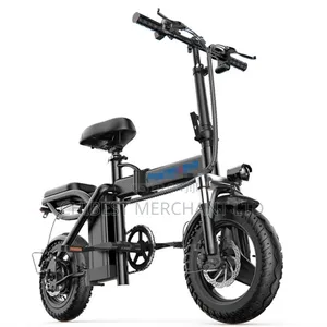 Electric Bicycle