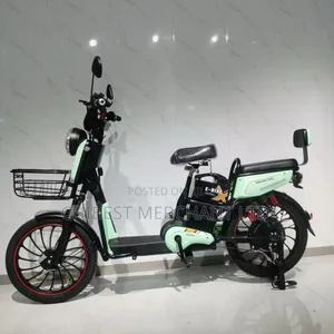 Electric Bicycle