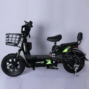 Portable Electric Bicycle