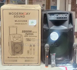 5500watts Modern Day Original 12"Inches Powerful Public Address System