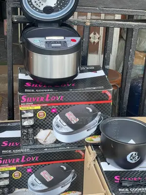 Silver Love Intelligent Electric Rice Cooker (5l) -