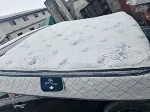 6/6 Foreign Mattress for Back Pain