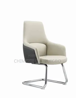 Executive Visitors Chair in Cream, Light Dark Grey Colours