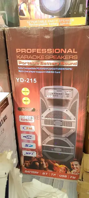 Pa System Graphics Double