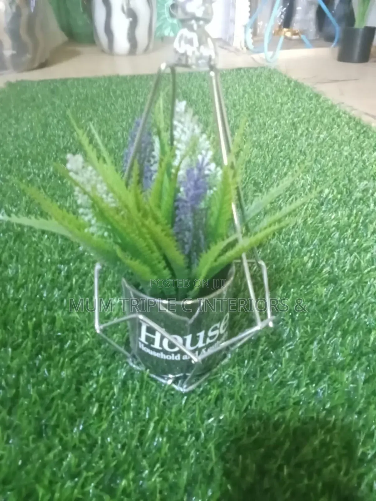 Miniature Cup Flower