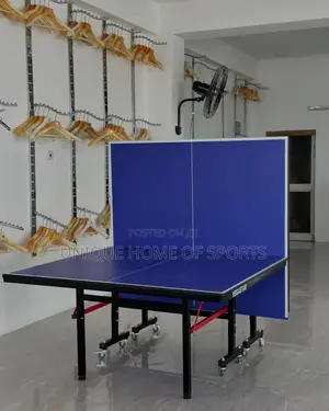 Outdoor Table Tennis Full Set