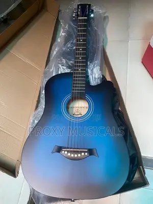 Wellsound Acoustic Guitar