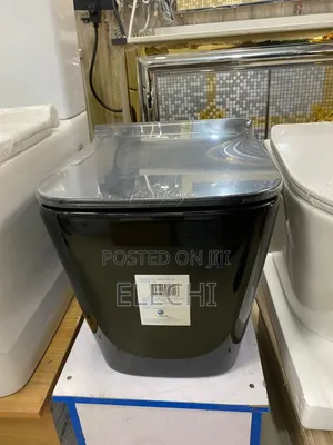 Black Wall Hung Wc