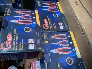 Gilson Set of Plier