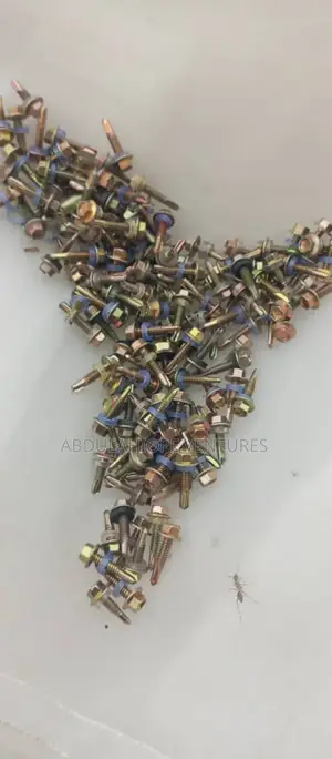 1" of Self Screw