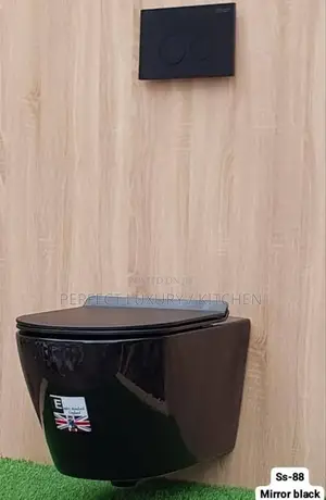 Eagle Standard Black Concealed Wall Hang W C