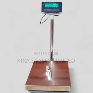 Stainless Steel Quality Platform Scales 300kg