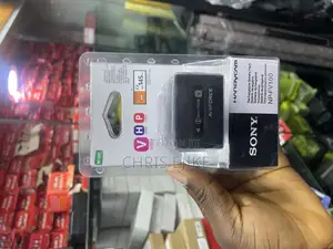 Sony Battery Np-Fv100