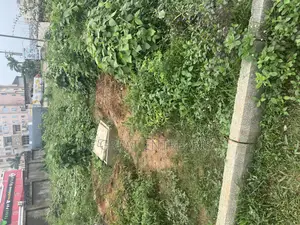 Land for Sale in Idu