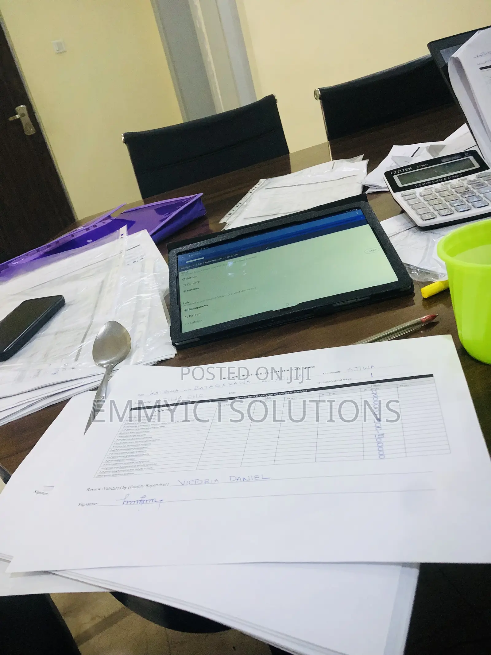 Data Entry, Analysis and Other Project Write, Typesetting 
