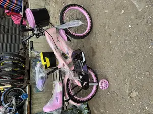 Female Bicycle Very Durable