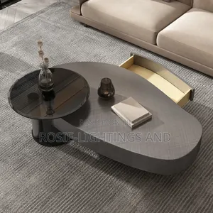 Luxury Stainless Steel and Wooden Oval Coffee Table (Set)