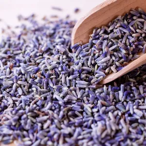 Lavender Buds