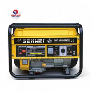 Senwei Sv5200 2.5kva Petrol Generator