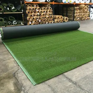 Artificial Grass (Gwarimpa)