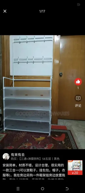 Shoe and Hat Rack With Cover