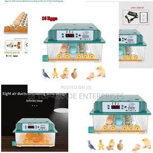 Achieve Superior Hatches With Smart 16-Egg Incubator