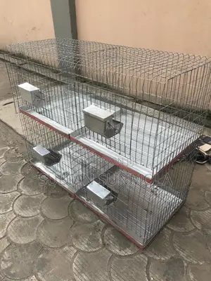 Four Compartment Rabbit Cage