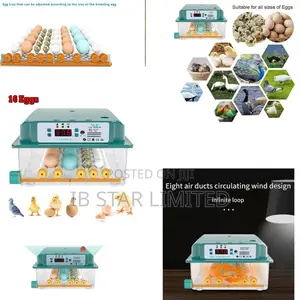 Plug In, Hatch Out: Intuitive 16-Egg Intelligent Incubator
