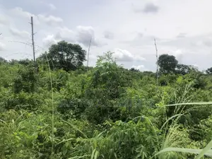 Farmland in Odeda, Ogun State Nigeria