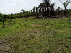 1 Acre of Land for Farming