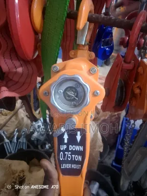 Come Along Chain Block
