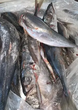 Horse Mackerel Fish (Kote) -1kg