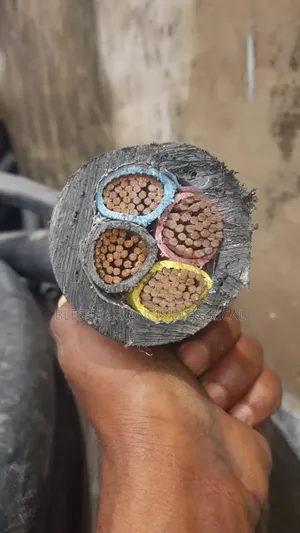 4x150mm Coleman Wire and Cable Nigeria PVC PVC