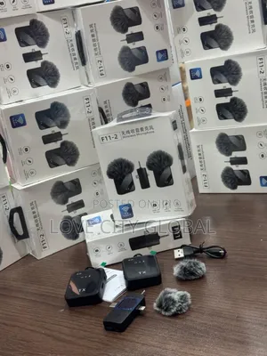 F11-2 Dual Anc Wireless Microphone Receiver Universal Use