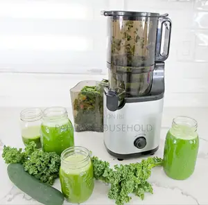 Hoffman Hands-Free Automatic Feeding Cold Pressed Juicer