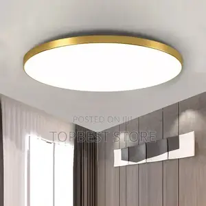Classic Modern Led Ceiling Light