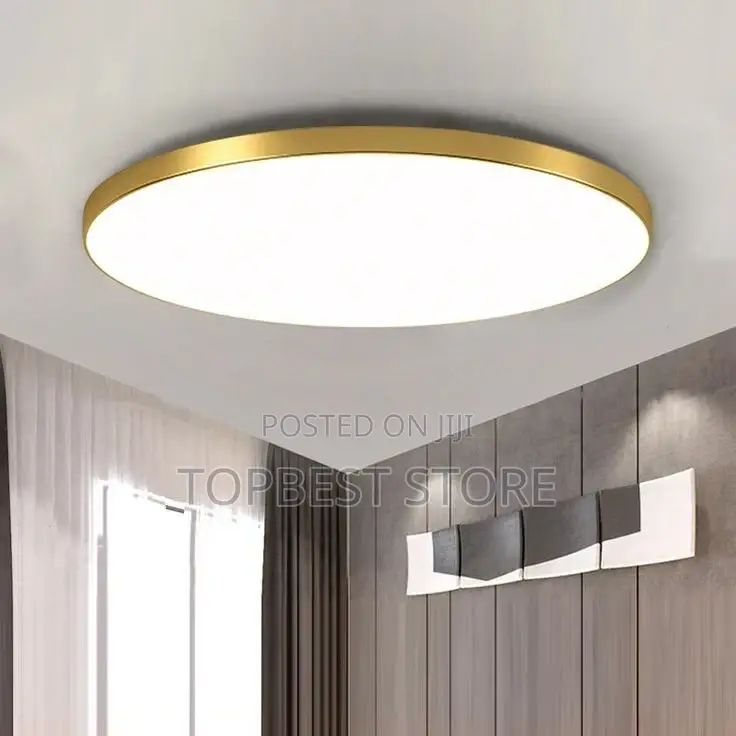 Classic Modern Led Ceiling Light