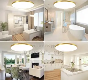 Classic Modern Led Ceiling Light